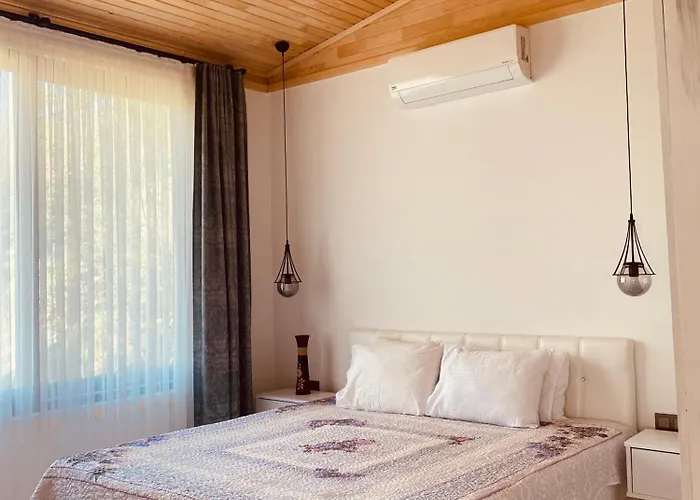 Kara Kedi Villa's فيلة *