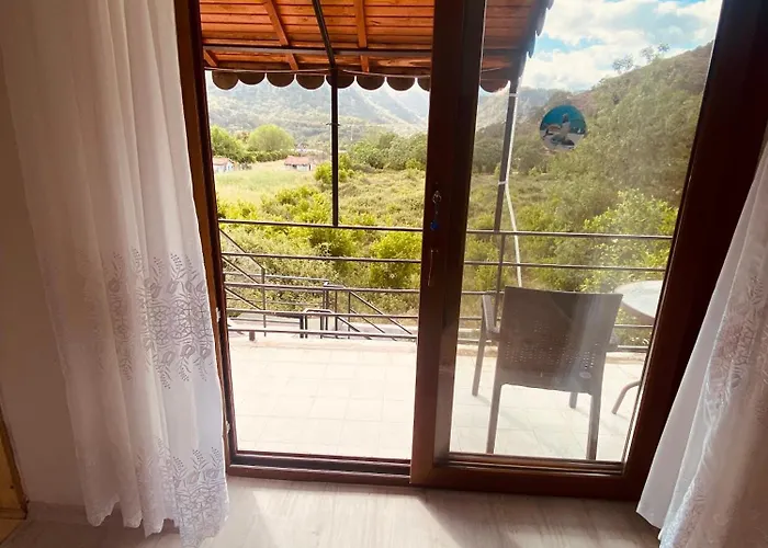 Kara Kedi Villa's فيلة *