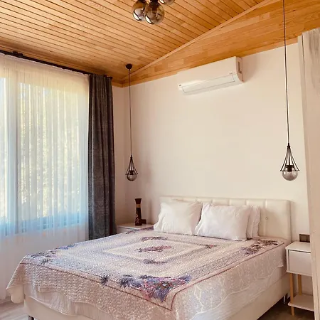 Kara Kedi Villa's Willa *
