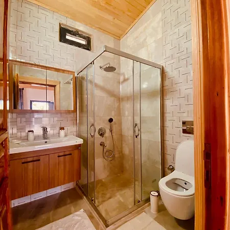 Kara Kedi Villa's Villa Kemer