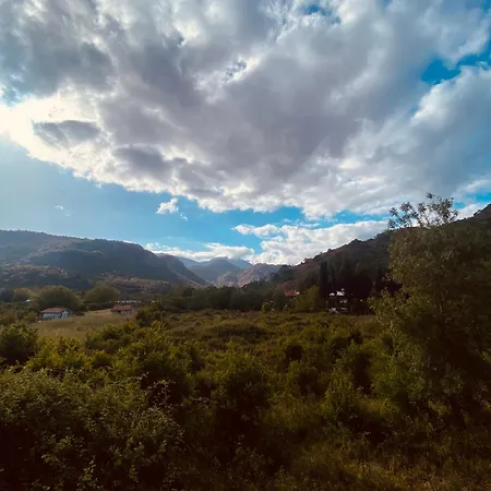 Kara Kedi Villa's Villa